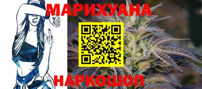 сатива Лесосибирск