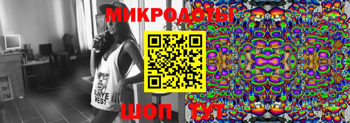 Донской  Псилоцибиновые грибы Psilocybe  Вход с VPN  Галлюциногенные грибы Psilocybe 